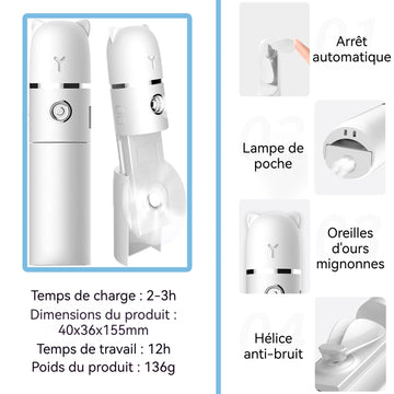 Vapeur pour le visage 1200mah Ventilateur portatif multifonctionnel chargement USB nano spray hydratant humidificateur facial